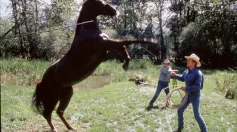 Otlar afsungari Uzbek tilida 1998 O'zbekcha tarjima film Full HD skachat skrinshot 2