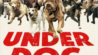 Do'stim Hagen / Oq xudo 2014 O'zbek tarjima kino HD skrinshot 4