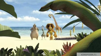 Madagaskar 1 Multfilm Uzbek tilida 2005 skrinshot 3