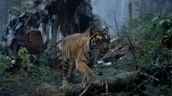 Yolg'iz Rossiya filmi Uzbek tilida 2021 O'zbekcha tarjima kino HD skrinshot 2