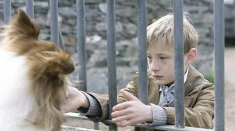 Lessi Uzbek tilida multfilm 2005 O'zbek tarjima kino HD skrinshot 2