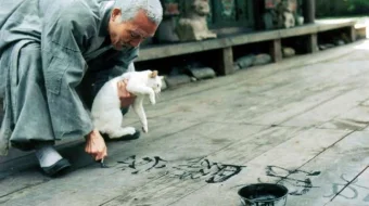 Bahor, yoz, kuz, qish va yana Bahor Janubiy Koreya filmi Uzbek tilida 2003 O'zbekcha tarjima kino HD skrinshot 3