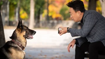 Миссия- Спасти панду 2020 Tas-ix skachat skrinshot 1