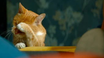 Домовой 2019 Tas-ix skachat skrinshot 2