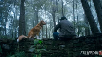 Itning nigohi bilan / Yaxshi kuchuk 2025 Uzbek tilida O'zbekcha tarjima kino Zo'r it / Yaxshi bola / Kuchukning ko'zlarida Full HD tas-ix skachat skrinshot 1