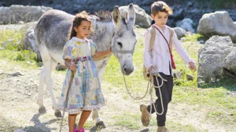 Bolqaymoq / Asal va Qaymoq Turk kino Uzbek tilida 2018 kino Full HD skrinshot 3