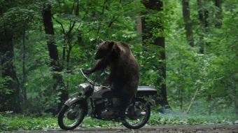 Ayiq Ruminiya filmi Komediya kino Uzbek tilida 2011 HD O'zbek tarjima skrinshot 1