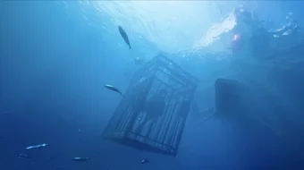 Ummon qa'rida 1 / 47 metr pastga 1 / Moviy Tubsizlik 1 Uzbek tilida 2016 O'zbekcha tarjima kino HD skrinshot 3