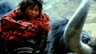 Himolay Uzbek tilida 1999 O'zbekcha tarjima film Full HD skachat skrinshot 2