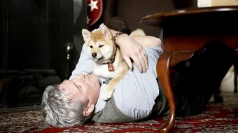 Xatiko: Eng sodiq do'st O'zbek tilida 2008 Uzbekcha tarjima / Хатико: Самый верный друг / Tas-IX skachat skrinshot 2