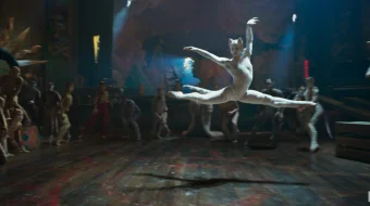 Mushuklar Uzbek tilida 2020 O'zbek tarjima tas-ix skachat skrinshot 1