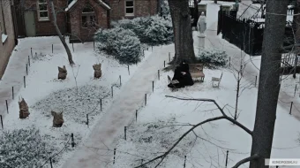 Shubha / Сомнение HD Tas-IX skrinshot 4