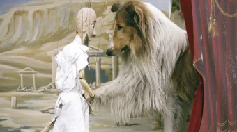 Lessi Uzbek tilida multfilm 2005 O'zbek tarjima kino HD skrinshot 3