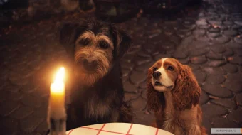 Леди и Бродяга 2019 Tas-ix skachat skrinshot 1