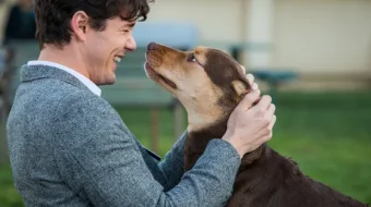 Uyga yo'l / Путь домой HD tas-ix skachat download skrinshot 3