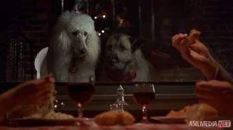 Kim aytibdi deysiz? 3 | Uzbek tilida O'zbekcha 1993 tarjima kino Full HD tas-ix skachat skrinshot 3