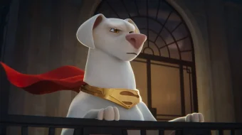 Super uy hayvonlari / Super uy hayvonlari ligasi DC Multfilmi Uzbek tilida multfilm 2022 O'zbek tarjima kino HD skrinshot 4