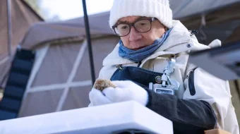 Afsona 2 Uzbek tilida 2024 O'zbekcha tarjima kino HD skrinshot 3