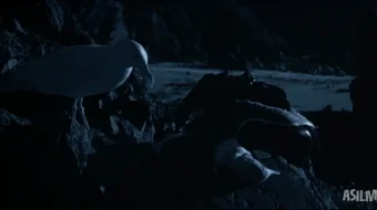 Oqcharloq Jonatan Livingston 1973 Uzbek tilida O'zbekcha tarjima kino Jonatan va chag'alaylar galasi Full HD tas-ix skachat skrinshot 3