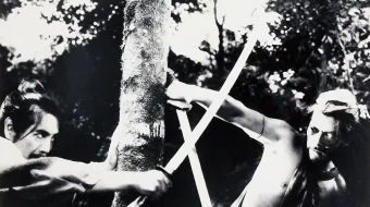 Rashomon / Rasyomon Yaponiya filmi Uzbek tilida 1950 HD O'zbek tarjima skrinshot 3