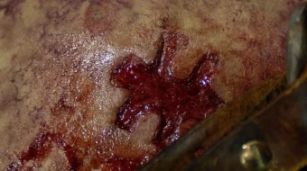 Arra 2 / Pila 2 2005 O'zbek tilida Uzbekcha tarjima Ujas Qo'rqinchli kino HD skachat skrinshot 2