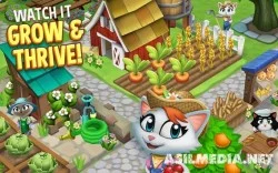 Kitty City skrinshot 2