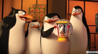 Madagaskar pingvinlari / Madakaskar pinvinlari Barcha qismlar HD Multfilm Uzbek tilida 2008 skrinshot 2