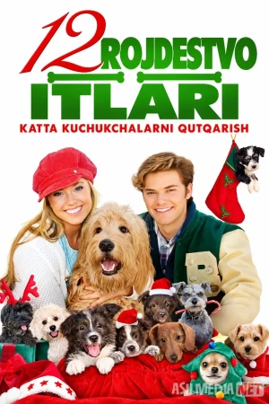 12 Rojdestvo itlari 2 / Rojdestvo itlari: Katta itlarni qutqarish / Rojdestvoni 12 iti 2 2012 Uzbek tilida O'zbekcha tarjima kino Full HD tas-ix skachat