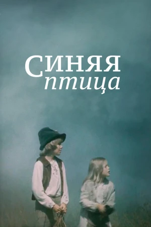 Ko'k Qush Uzbek tilida O'zbekcha tarjima kino tas-ix skachat