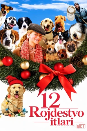 12 Rojdestvo itlari / Rojdestoning 12 iti 2004 Uzbek tilida O'zbekcha tarjima kino Full HD tas-ix skachat