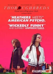 Чистокровные / Thoroughbreds Tas-IX