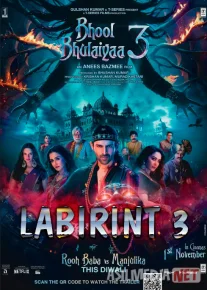 Labirint 3 / Bhool Bhulaiyaa 3 Hind kino Uzbek tilida O'zbekcha 2024 tarjima kino Full HD tas-ix skachat