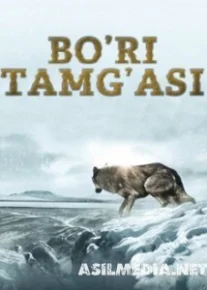 Bo'ri tamg'asi Uzbek tilida O'zbekcha tarjima kino HD