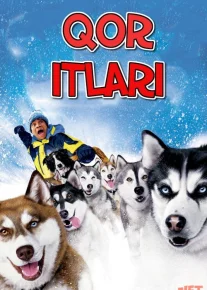Qor Itlari Uzbek tilida Full HD 2002 O'zbekcha tarjima kino HD