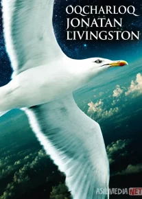 Oqcharloq Jonatan Livingston 1973 Uzbek tilida O'zbekcha tarjima kino Jonatan va chag'alaylar galasi Full HD tas-ix skachat