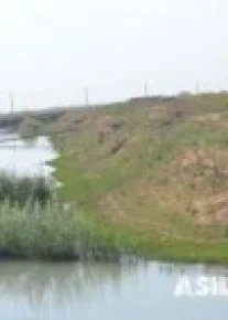 Ўзбекистон Тожикистонга суғориш учун сув ажрата бошлади