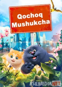 Mushukchaning sarguzashtlari / Orzumand mushukcha / Qochoq mushukcha Uzbek tilida multfilm 2018 O'zbek tarjima kino HD