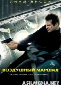 Воздушный маршал