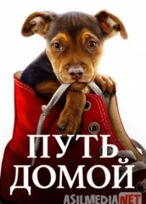 Uyga yo'l / Путь домой HD tas-ix skachat download