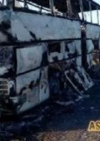 «Мендан сўрасангиз – ҳаммасига сифатсиз таълим айбдор дейман»