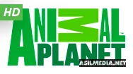 Animal Planet HD