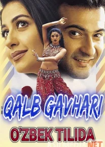 Qalb gavhari / Sirli Muhabbat Hind kinosi Uzbek tilida 1999 O'zbekcha tarjima Tas-IX skachat