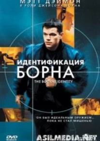 Идентификация Борна