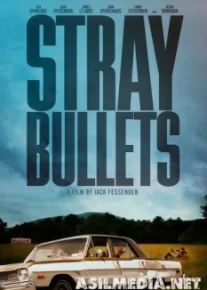 Шальные пули