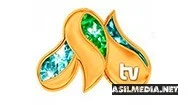 Milliy TV