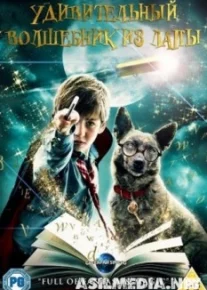 Удивительный волшебник из Лапы