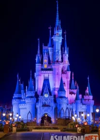 Bir kishilik orkestr Uzbek tilida multfilm 2018 O'zbek tarjima kino HD