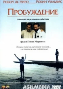 Пробуждение
