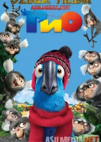Rio 1 multfilm Uzbek tilida 2011 O'zbekcha tarjima