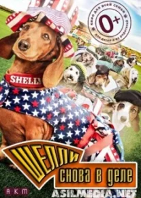 Шелли снова в деле